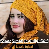 Zama Zwani Da Gul Guhtai