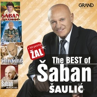 Sadrvani
