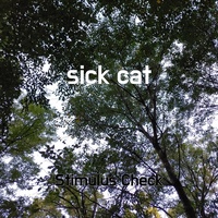 sick cat