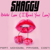 Habibi Love (I Need Your Love) (feat. Mohombi, Faydee & Costi)