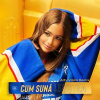 Cum Sună Liniștea - Arty Violin Remix