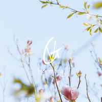 Harmony