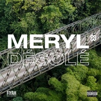 Désolé