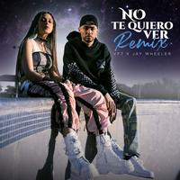 No Te Quiero Ver - Remix