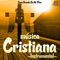 Nadie Te Ama Como Yo