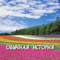 Обычная история