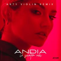 Ce Suntem Noi - Arty Violin Remix