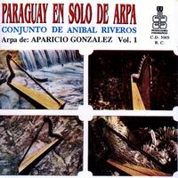 Llegada - Version Polca