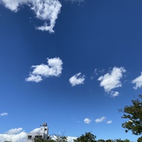 秋の予感