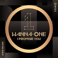 I PROMISE YOU (I.P.U.)