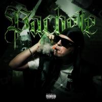 PACHETE
