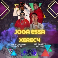Joga Essa Xereca (feat. DJ Vilão DS)