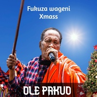 Fukuza Wageni Xmass