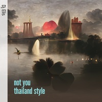 Not You Thailand Style (Remix)