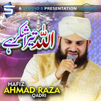 Allah Tera Shukr Hai