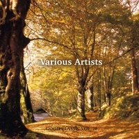 Hungarian Dance No. 5