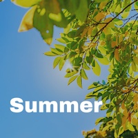 Acoustic guitar live performance Gentle and nimble in nature(1007339)