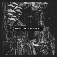 The Orb - Mollono.Bass Remix Short