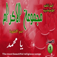 يا محمد يا حبيب الله