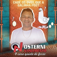 Cadê os Ovos Que a Galinha Pôs?