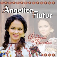 Pe Obcini în Bucovina