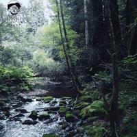 Sarcophagus II (feat. $uicideboy$)