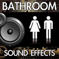 Toilet Flush (Version 7) [Restroom Bathroom Washroom Flushing Noise Clip] [Sound Effect]