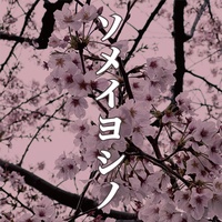 ソメイヨシノ Vocal&Piano Ver. (イントロ)