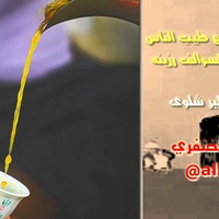 شيلة حماسيه