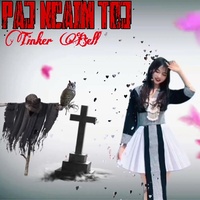 Paj ncaim toj - Mixer version