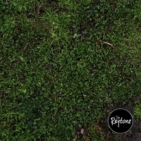 Kids Off The Estate (2017)