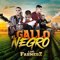 El Gallo Negro - En Vivo