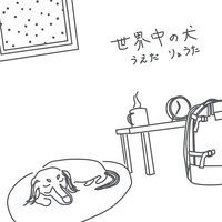 Life with dog