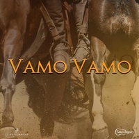 Vamo Vamo