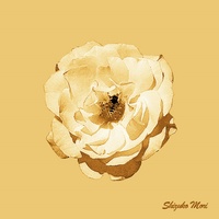 토토의 즐거운 하루 (tvN '꽃보다 할배' 삽입곡)