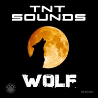 Scammer (Original Mix)