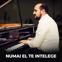 Numai El Te Intelege