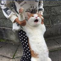 Ahhhhhh!
