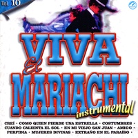 Mujeres divinas - Instrumental
