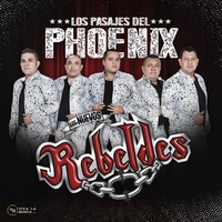 Los Pasajes Del Phoenix