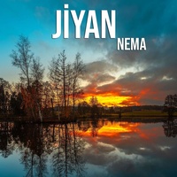 Nema