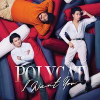 เพื่อนไม่จริง - Live in Polycat I Want You Concert