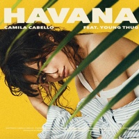 Havana  (Nitsuga Remix)