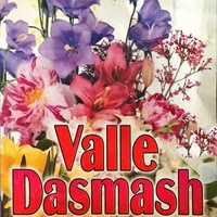 Valle 3