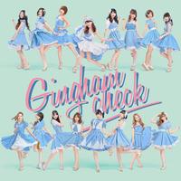 Gingham Check