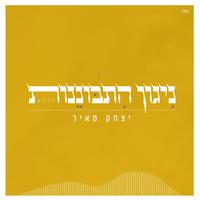 ניגון התבוננות