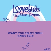 Want You In My Soul - Radio Edit