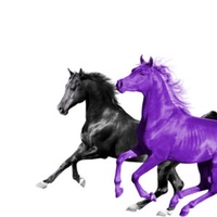 Seoul Town Road (Old Town Road Remix) feat. RM of BTS