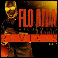 Wild Ones (feat. Sia) [J.O.B Rock Rework]