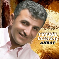 Giden Gelmezmiş